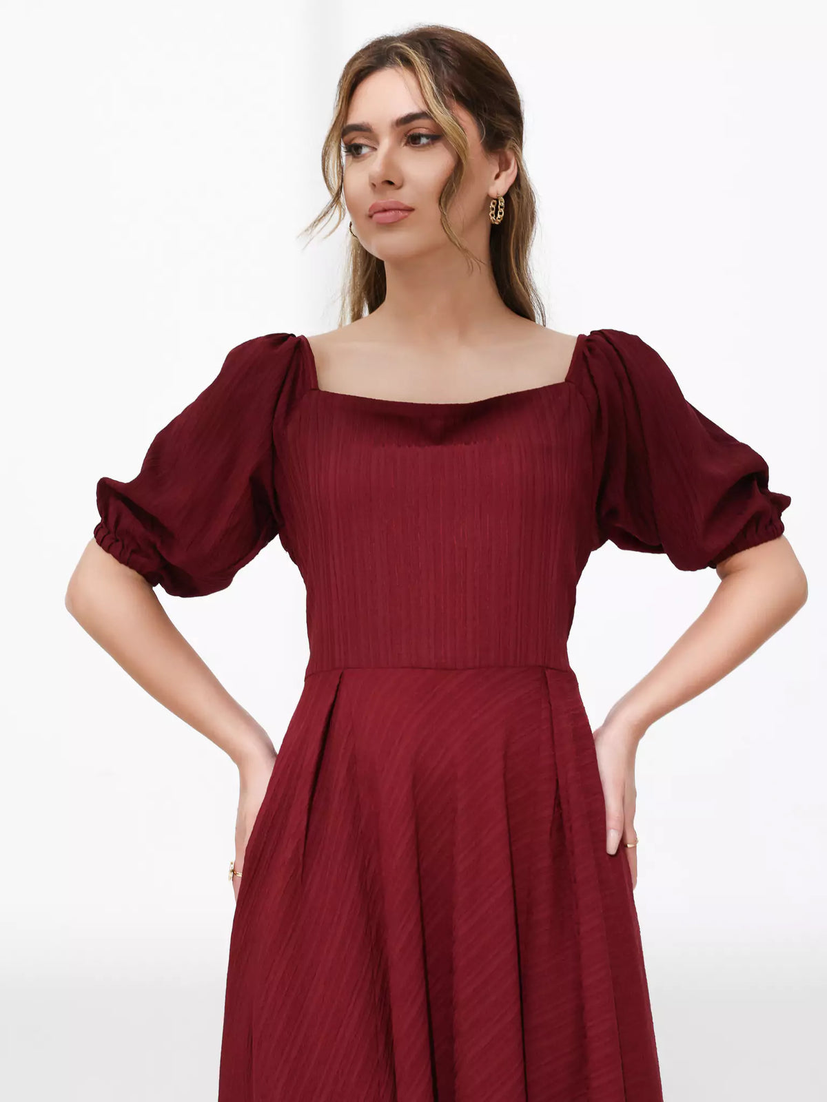 Ariel Maroon Textured Dress